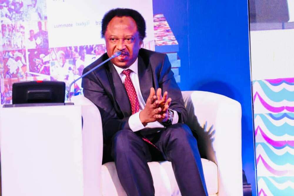 2023: Shehu Sani Reveals How APC Should Pick Presidential Candidate