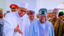 "Ba Zan Daɗe a Daura Ba" Shugaba Buhari Ya Canja Garin da Zai Koma Bayan Miƙa Mulki Ga Tinubu