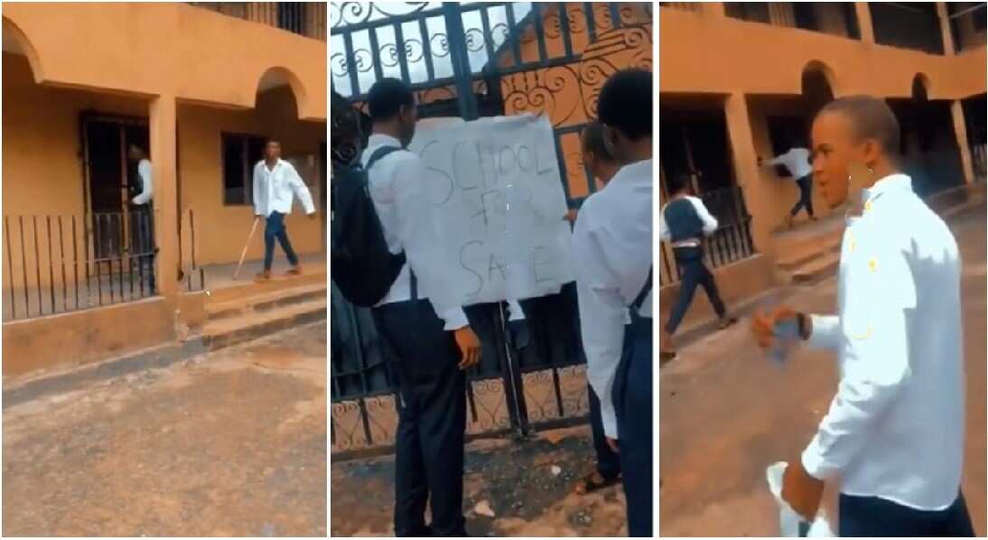 School owner collects WAEC registration fees, disappears into thin air, renders SS3 students stranded in video