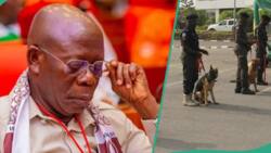 Oshiomhole demands breakdown as prison boss says FG spends more money feeding dogs than inmates