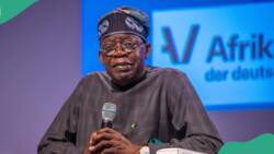 Tinubu under fire for appointing son-in-law as MD Federal Housing Authority