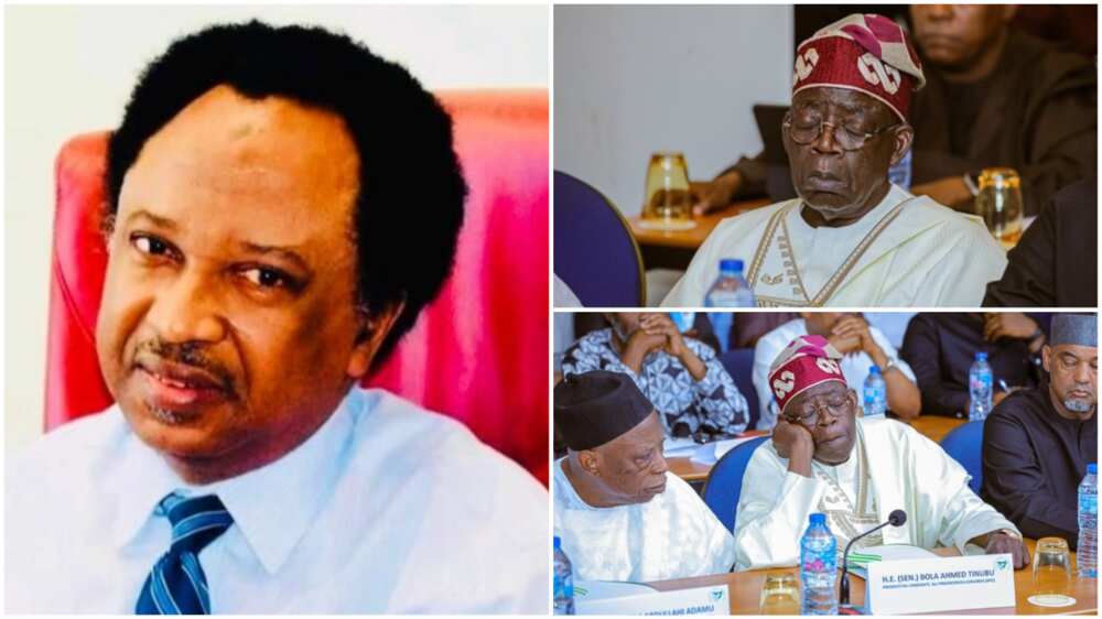 Shehu Sani da Bola Tinubu Shehu Sani da Bola Tinubu