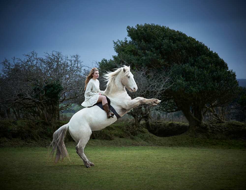 Le cheval, un compagnon pas comme les autres.
Photo : GettyImages