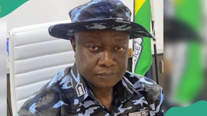 Aderemi Adeoye: 5 Interesting facts about former police commissioner who owns company worth N20bn