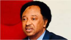 PDP, APC, LP: Former lawmaker reveals crisis-free party aggrieved Nigerian Governors should join