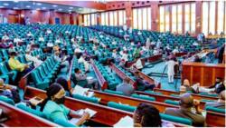 Drama as House of Representatives adjourns plenary abruptly, gives reason