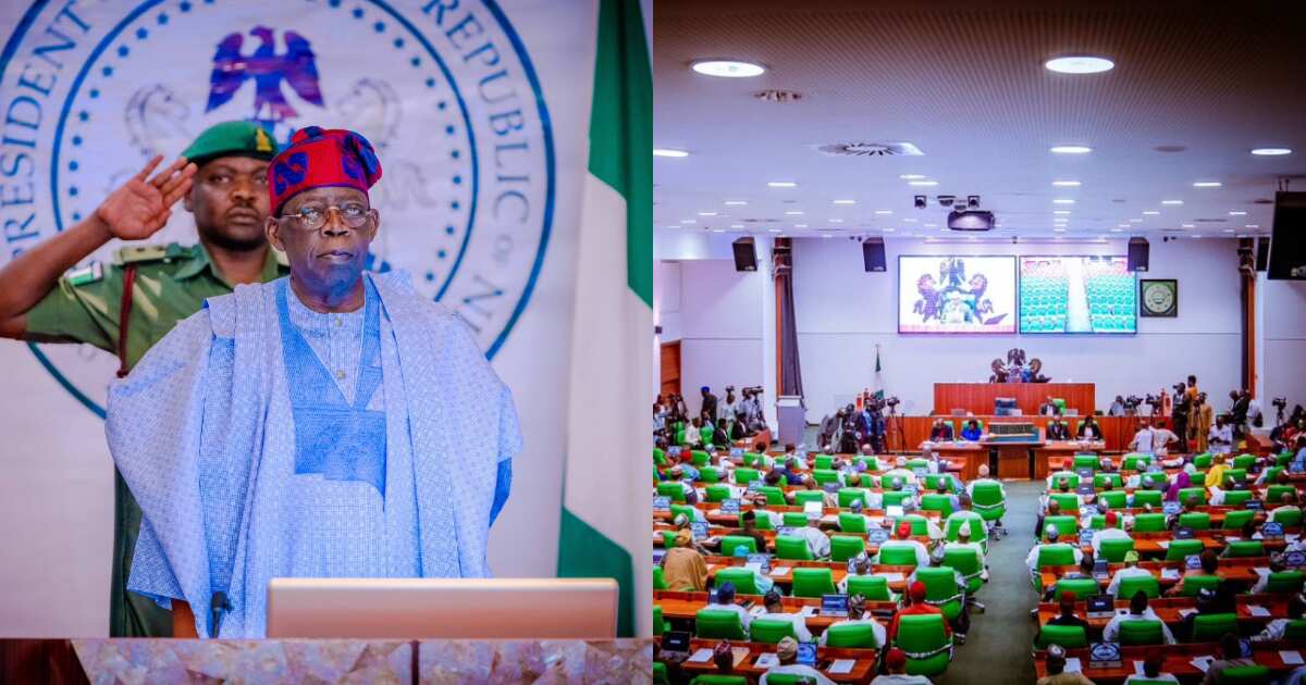 House Of Reps: Tinubu’s N500bn Request For Palliatives Approved - Legit.ng