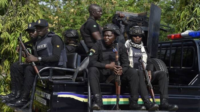 Police arrest 14 kidnap suspects, rescue abducted resident in Jigawa