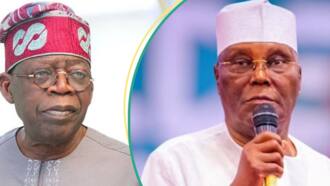 Full details emerge on new contract between FG, company formerly owned by Atiku