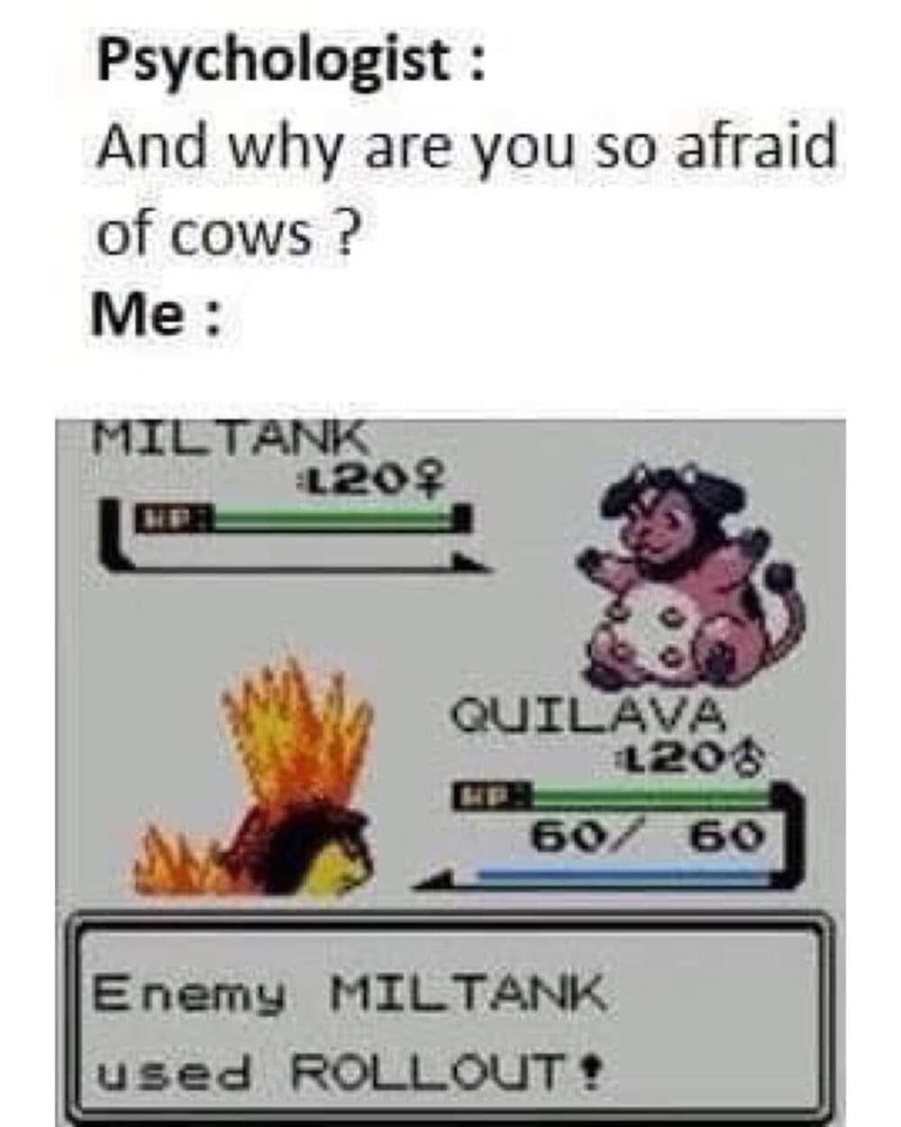 Pokemon memes clean Pokemon memes clean