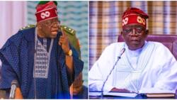 “These groups often face barriers” President Tinubu reveals what drug addicts need to recover