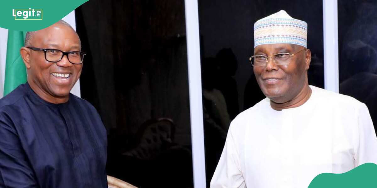 Top Tinubu’s supporter speaks out as Peter Obi visits Atiku in Abuja, Nigerians launch attack