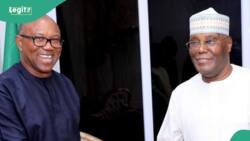 2027: “Do or die”, Top Tinubu’s supporter speaks out as Peter Obi visits Atiku in Abuja