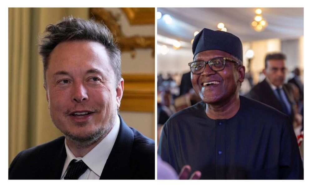 Dangote, Elon Musk