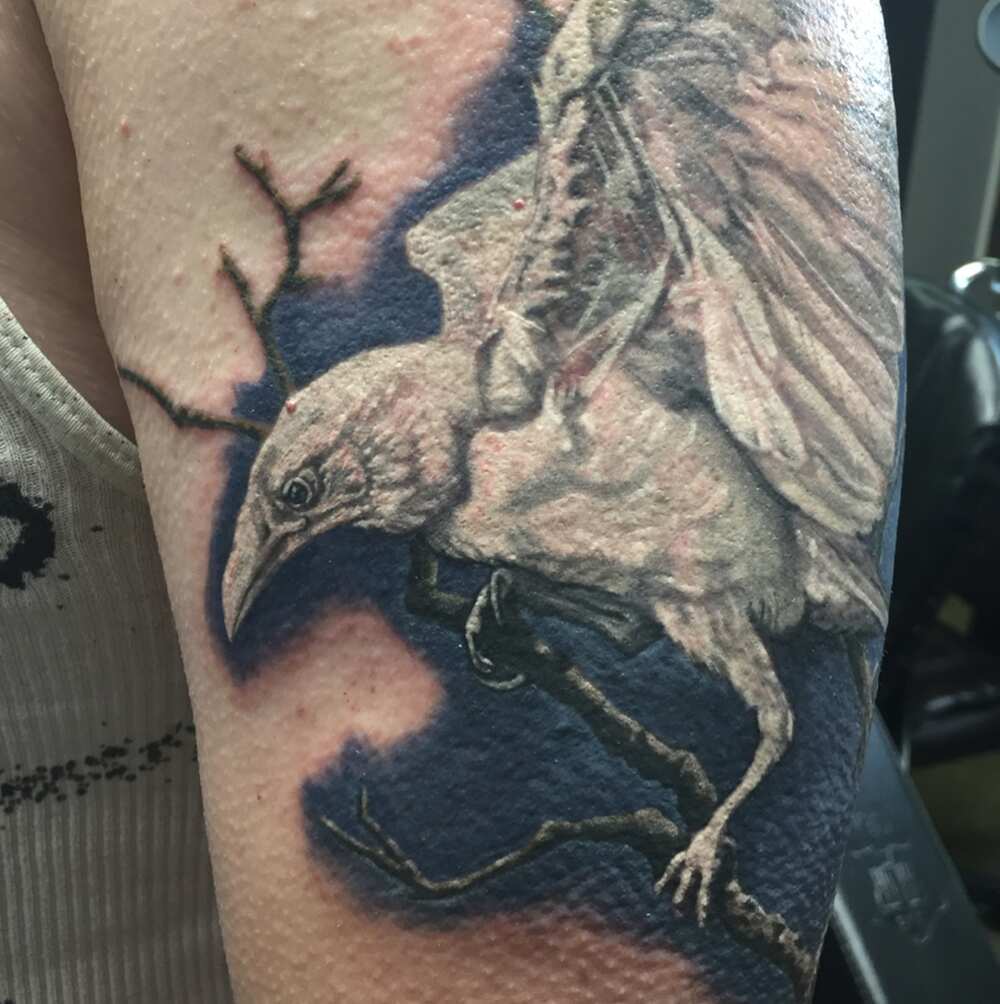 white raven tattoo