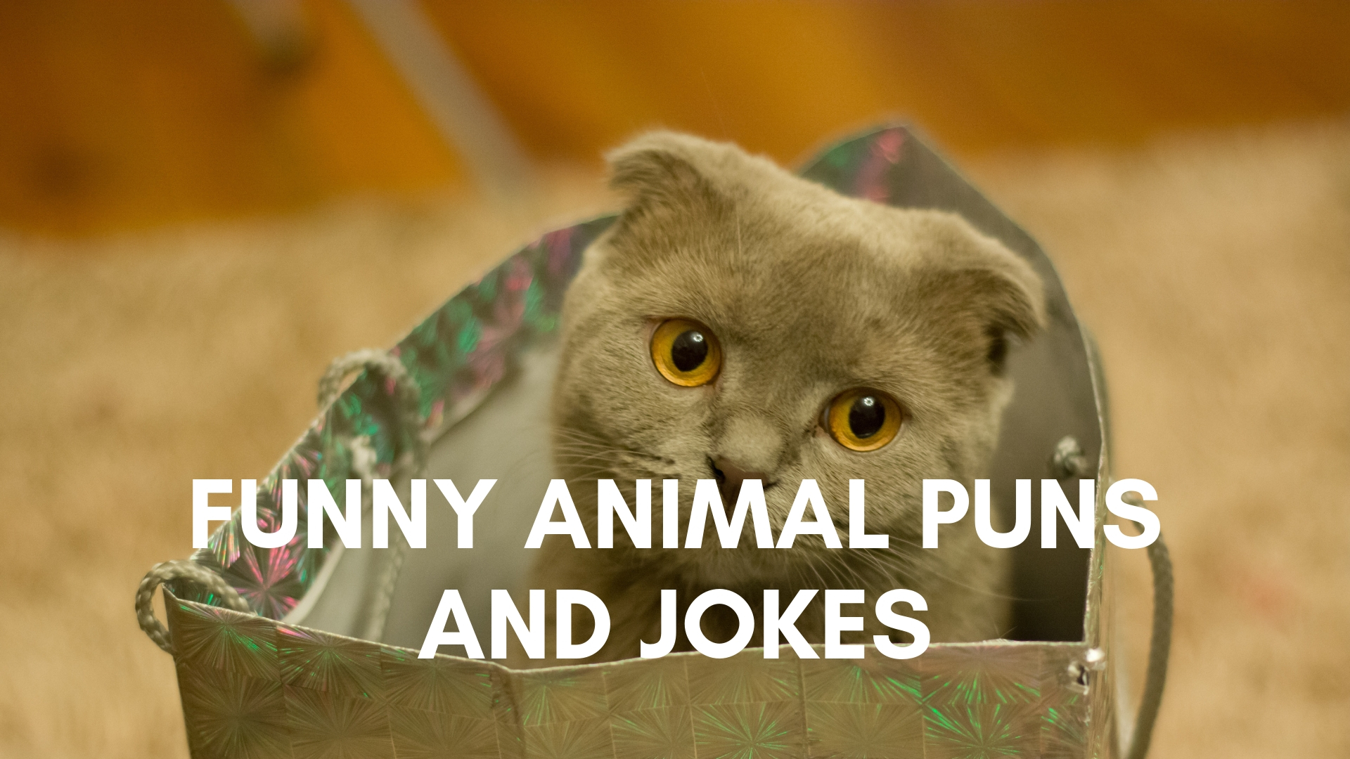 Top 50 Funny Animal Puns And Jokes Legit Ng