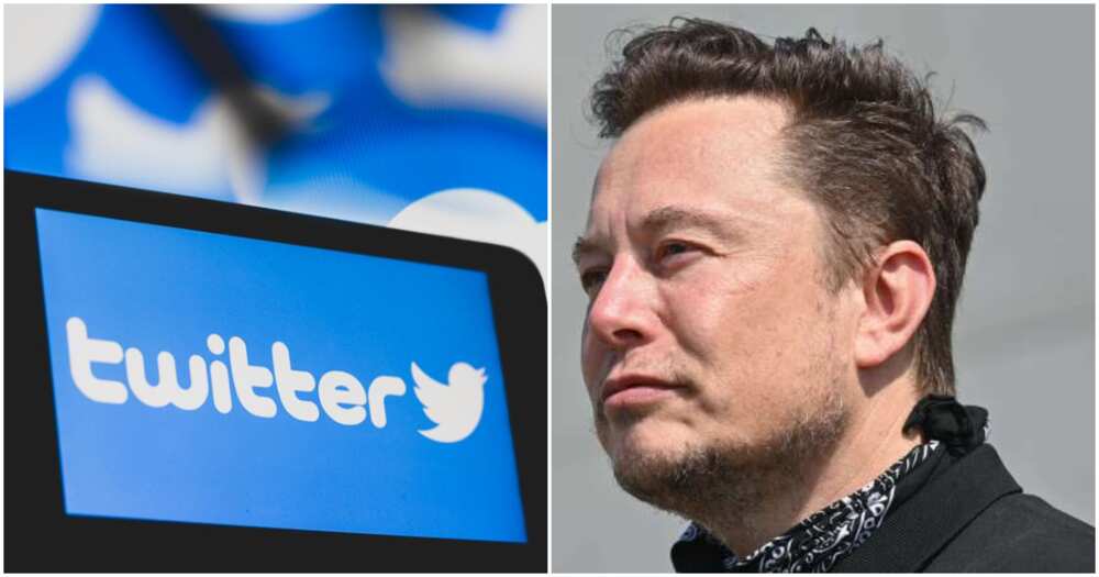 Popular microblogging platform, Twitter, fake accounts, Elon Musk