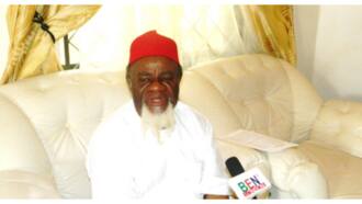 5-day sit-at-home: Finally Igbo elders speak out, tell residents what to do
