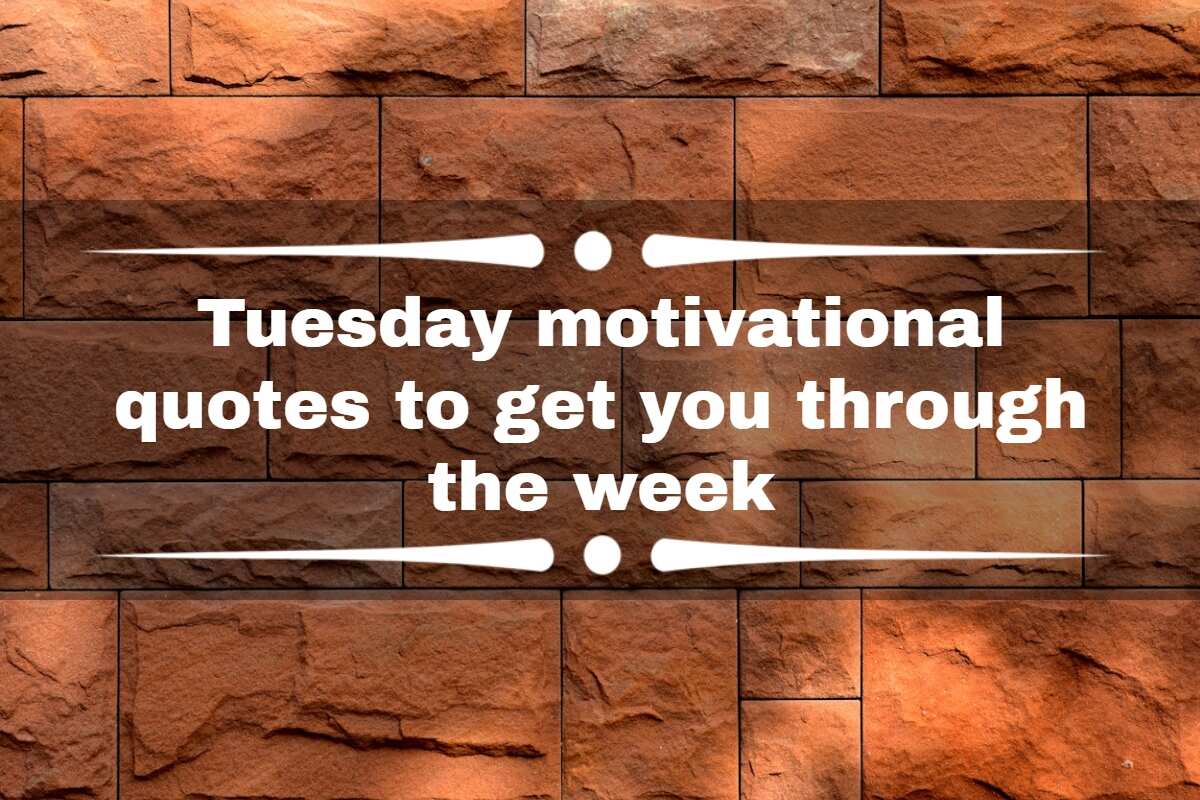250+ Tuesday Motivation Quotes for Work & Personal Life - DIVEIN
