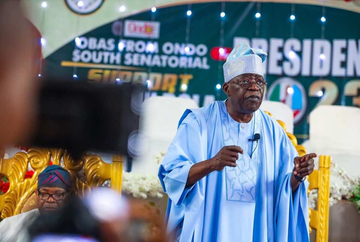 Presidency 2023: Tinubu Lists Prominent Politicians He Helped To Become ...