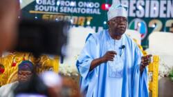 Presidency 2023: Tinubu lists prominent politicians he helped to become governor