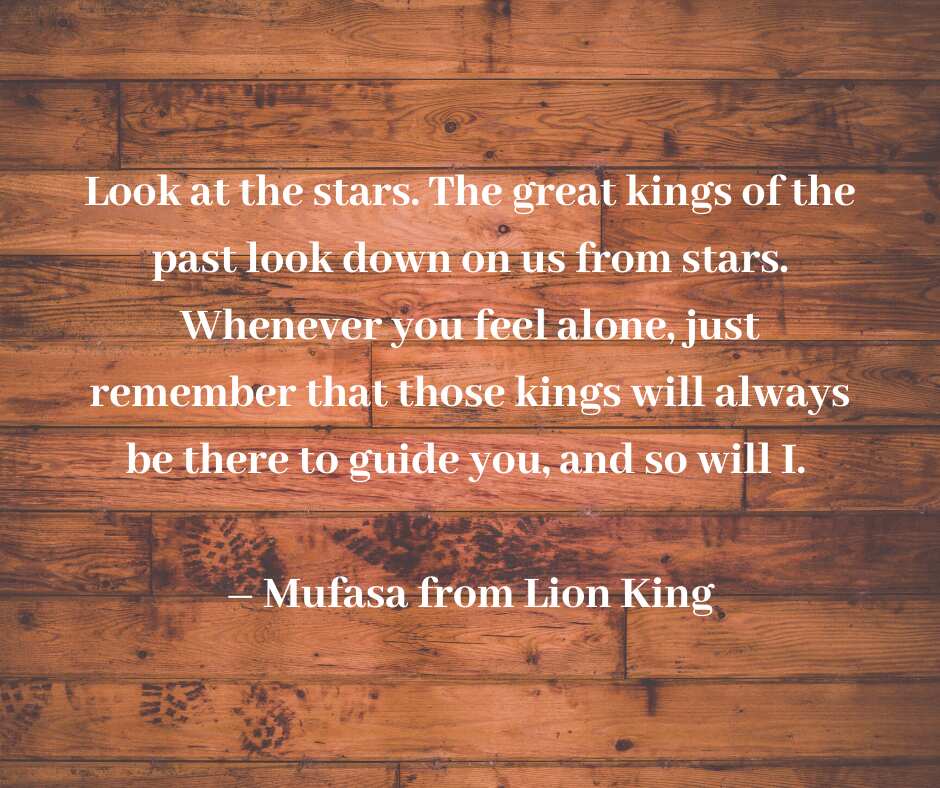 35 enlightening Lion King quotes that can be applied to real life Legit.ng