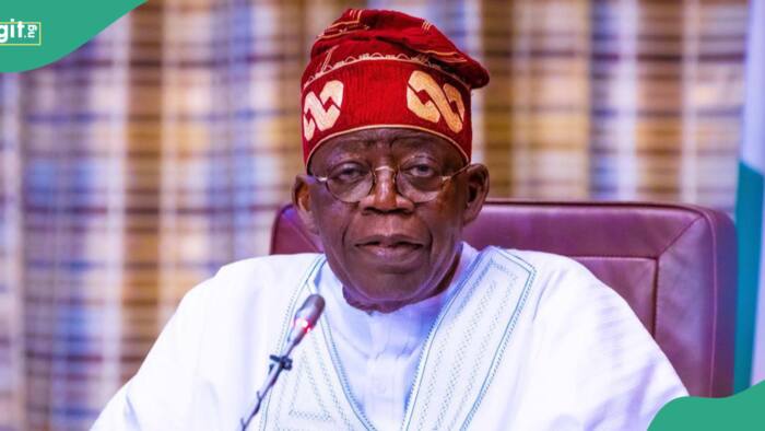 Muslim-Muslim ticket: "You surprised us with SGF, CDS appointments", Northern Christians tell Tinubu