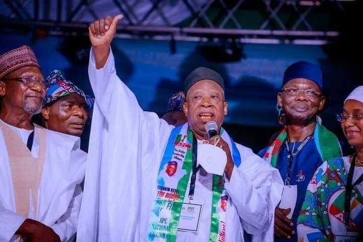 APC, Zoning Presidency, Northeast, Jonathan's Alleged Submission, Nomination Form, 2023 Presidency
