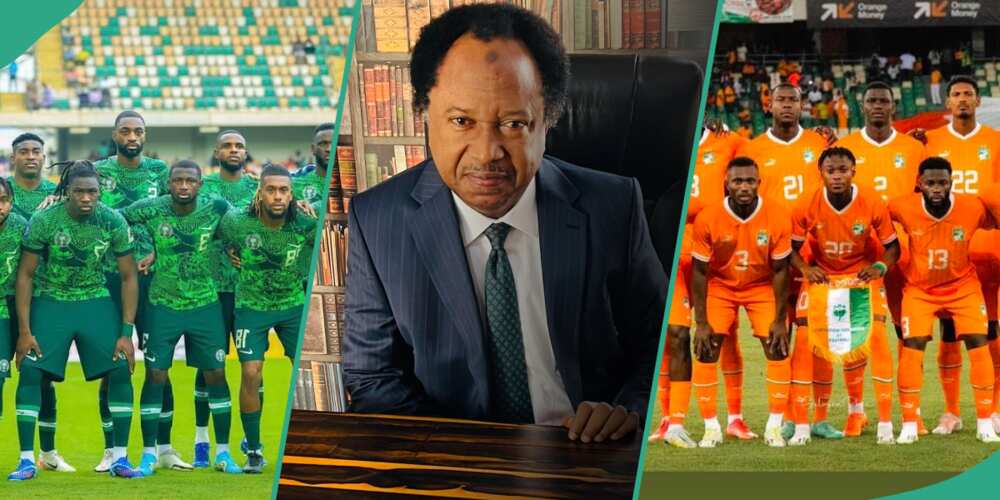 AFCON: Shehu Sani reveals what he will do If Nigeria's Super Eagles lose to Ivory Coast