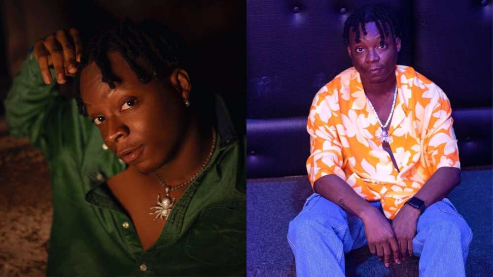 wizkid-signed artists wizkid-signed artists