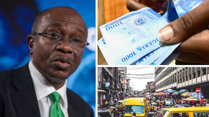Experts Speak on CBN's Interest Rate Hike and Possibility of Curbing Inflation