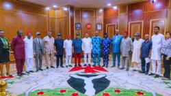 Imo governorship: Labour leaders endorse Uzodimma for second term
