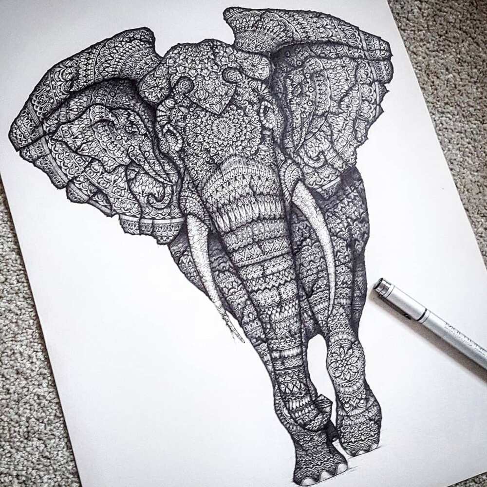 Elephant tattoo mandala