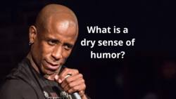 Get to know what a dry sense of humor is and how to tell if you have it