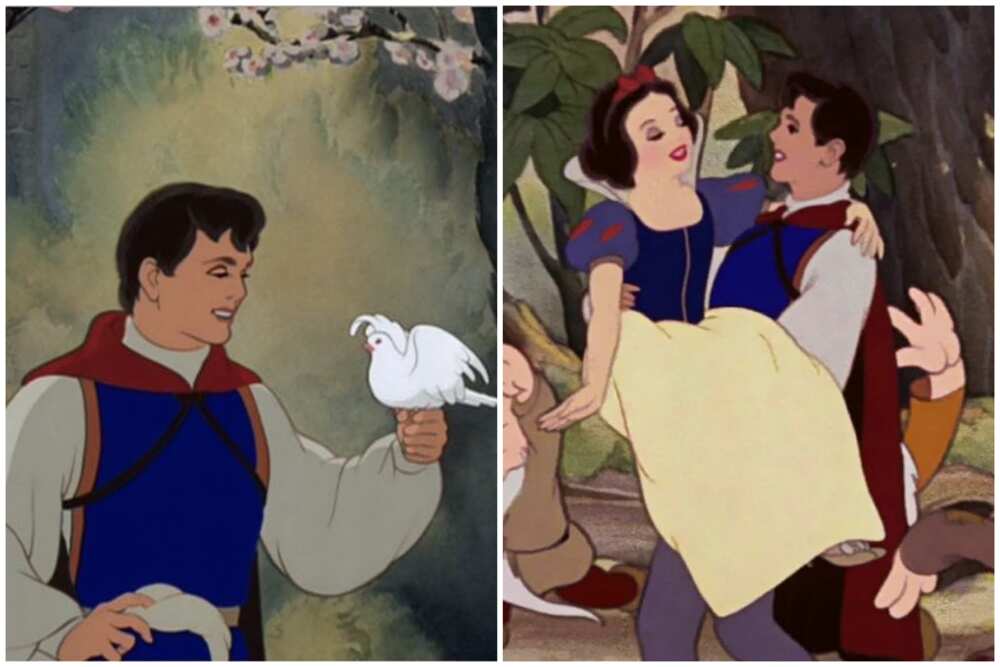 Prince of Disney Prince of Disney