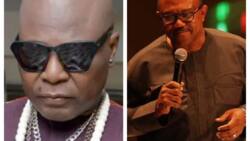 Charlyboy identifies Peter Obi’s ‘structure’, expresses fear for Labour Party’s candidate