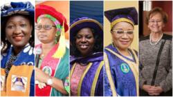 Out of 202 universities in Nigeria, there are only 11 female VCs - Report shows list of them