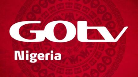 GOtv: A Brand Offering the Springboard for Local Boxing Talents