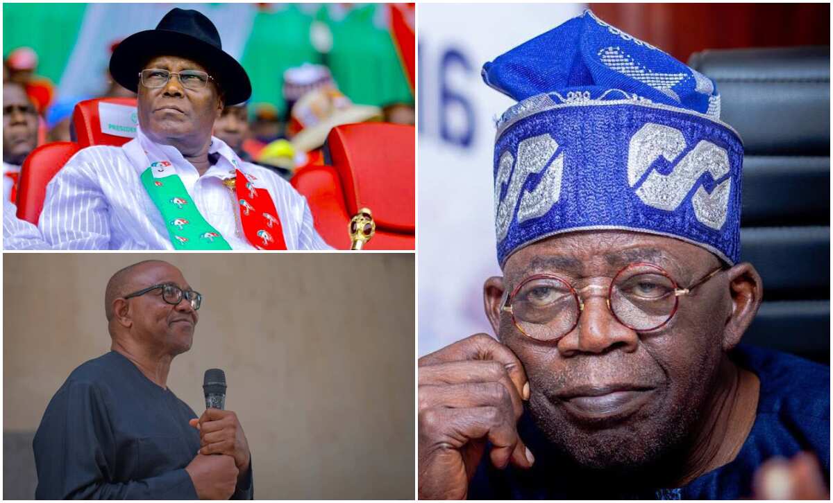 2023 presidency: Rerun predicted as survey reveals who among Tinubu, Obi, Atiku, Kwankwaso will emerge winner