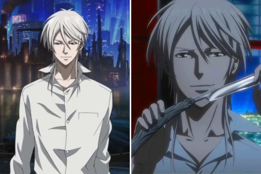Male white-haired anime characters