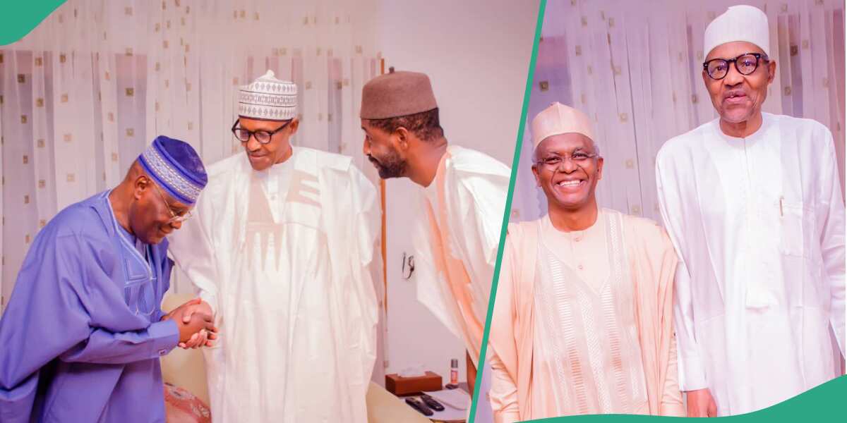 Plot to sack Tinubu: Full list of northern politicians who visited Buhari recently