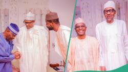 2027 presidency: List of northern politicians who visited Buhari recently