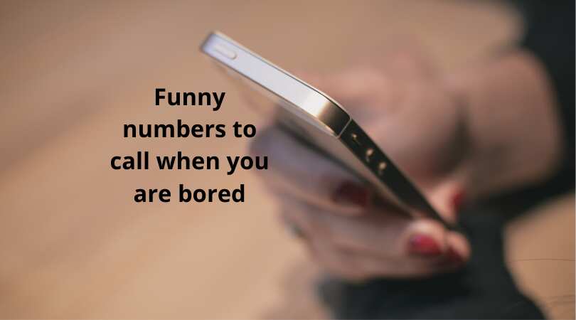New number message funny