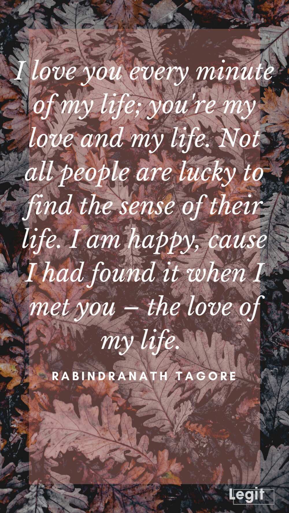 194 Love Of My Life Quotes Celebrating True Love