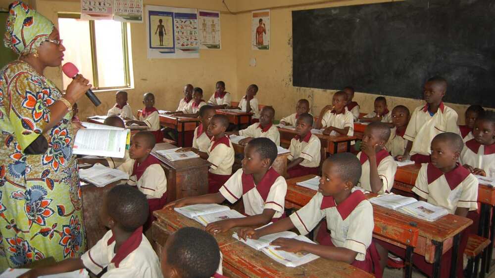 Primary School Primary School