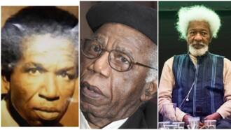 Nigeria at 62: Chinua Achebe and 2 other Nigerian authors who were already famous before 1960