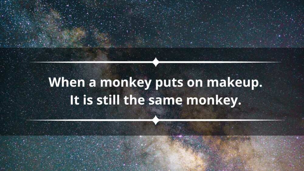 Petty savage quotes Petty savage quotes