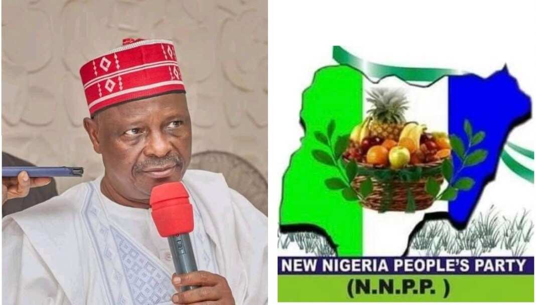 2023: Kwankwaso will be declared president if he wins Delta - NNPP chieftain boasts