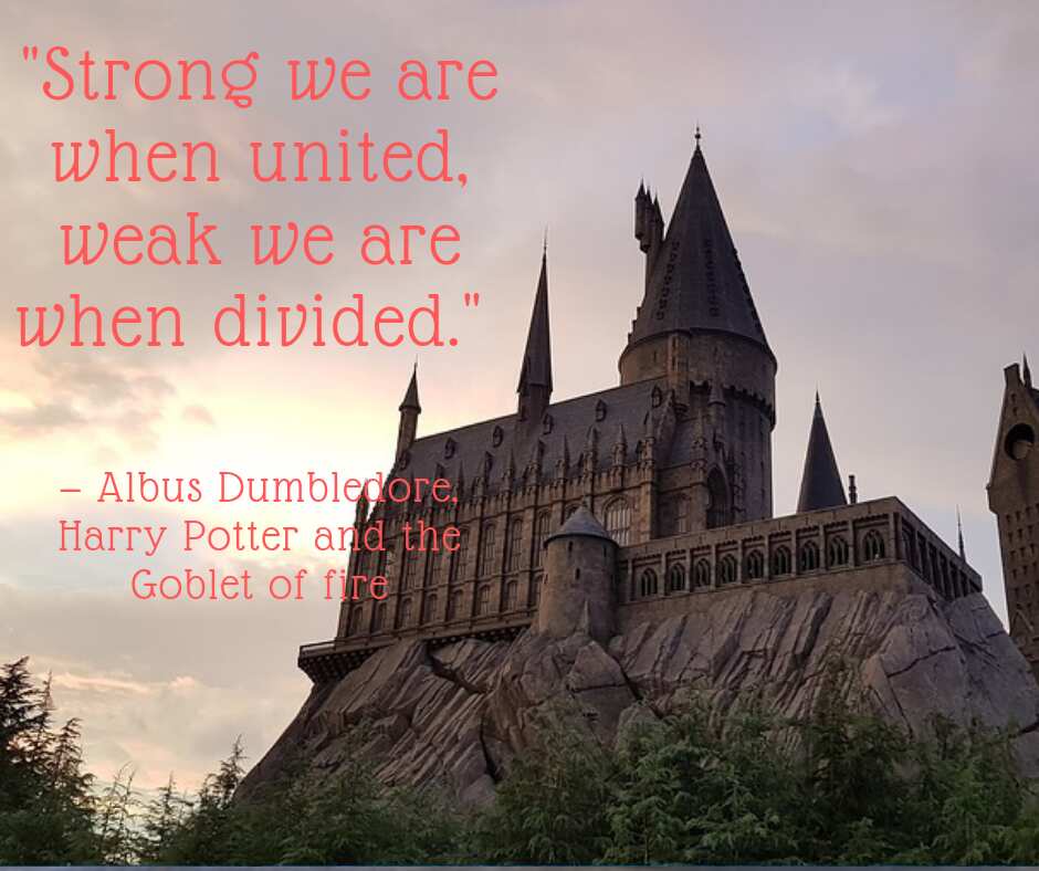 Famous Harry Potter quotes