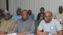 Half salary: Imminent strike looms as ASUU meets in 48hours